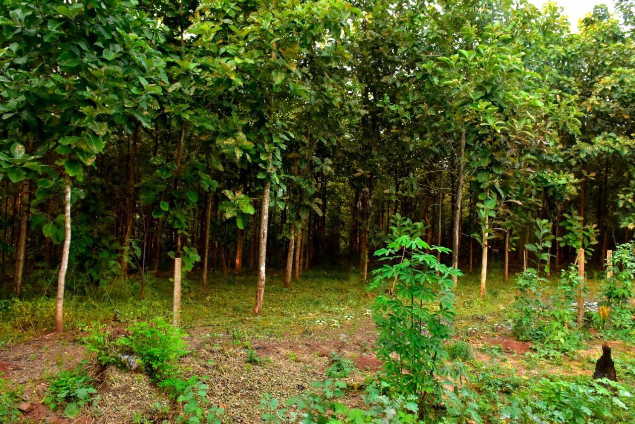 فندق Wild Heaven اوداوالاوي المظهر الخارجي الصورة